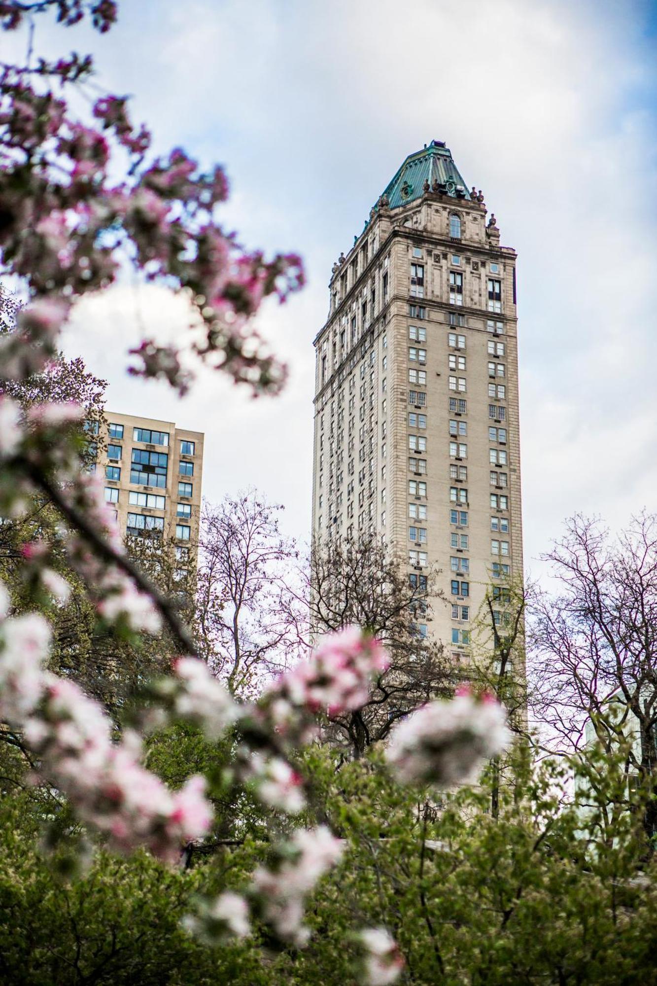 ذا بييير، فندق تاج نيو يورك المظهر الخارجي الصورة The building from Central Park